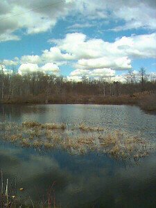 Austin Township Mescosta County, Michigan