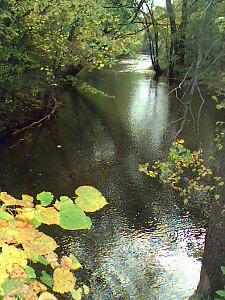 Middle Branch Township Osceola County, Michigan