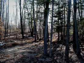 Munro Township Cheboygan County, Michigan