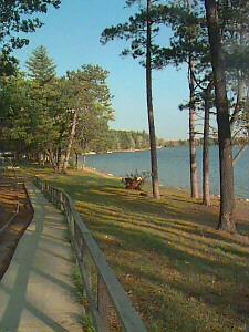 Rose Lake Township Osceola County, Michigan