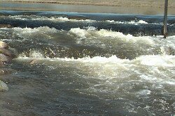 Rapids