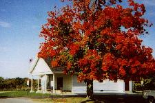 Ashland Township Newaygo County, Michigan