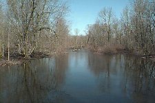 Ferris Township Montcalm County, Michigan