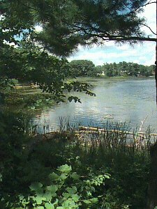 Sauble Township Lake County, Michigan