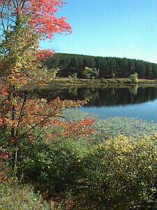 Dighton - Sherman Township Osceola County, Michigan