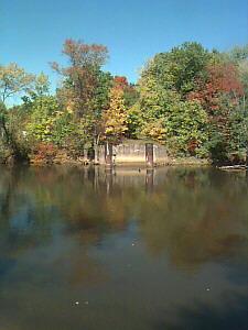 Sylvan Township Osceola County, Michigan